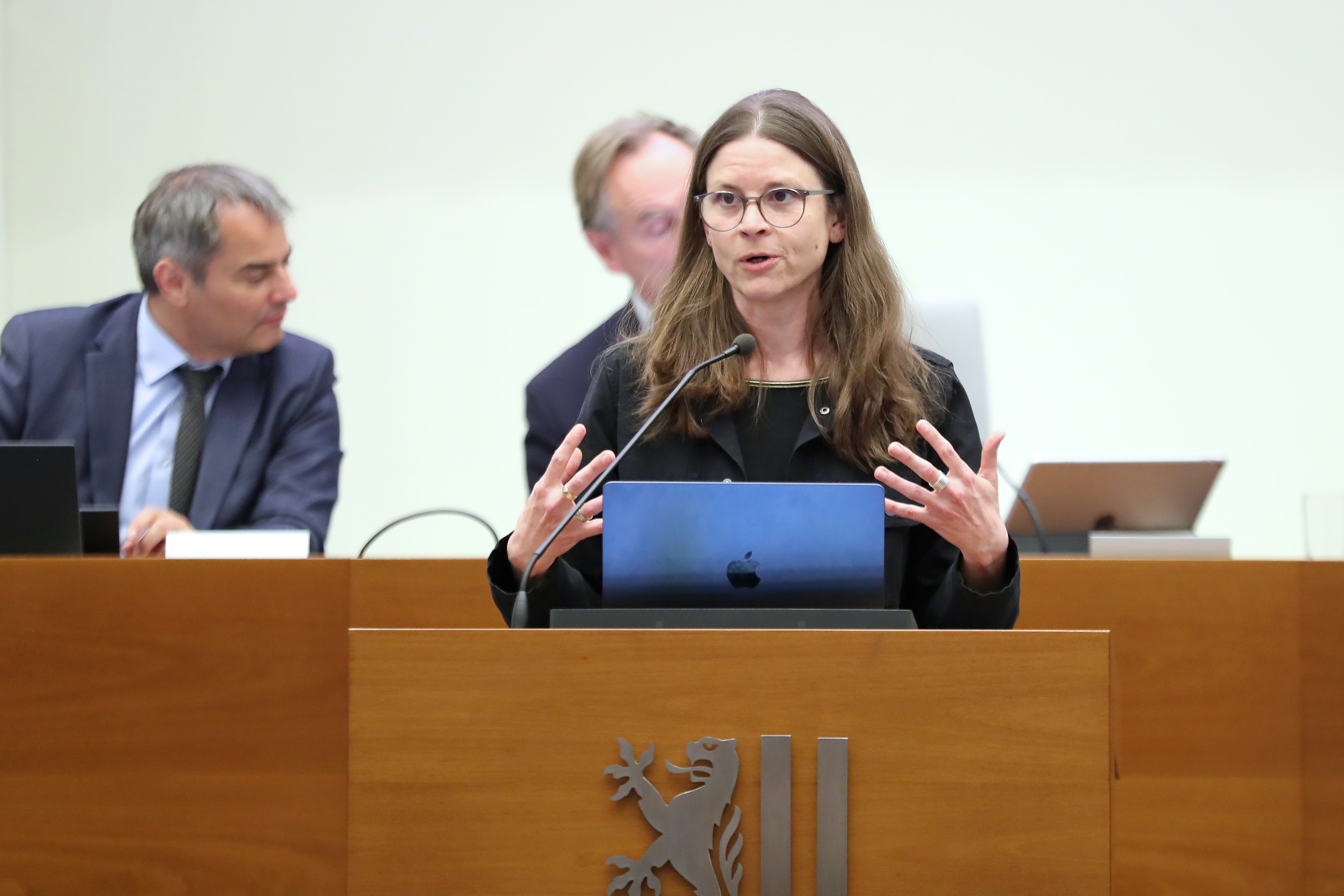 Kristina Weyh (Bündnis 90/Die Grünen) im Leipziger Stadtrat am 29.04.2026. Foto: Jan Kaefer