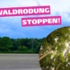 Demo-Aufruf "Waldrodung stoppen!" Grafik: Ökolöwe