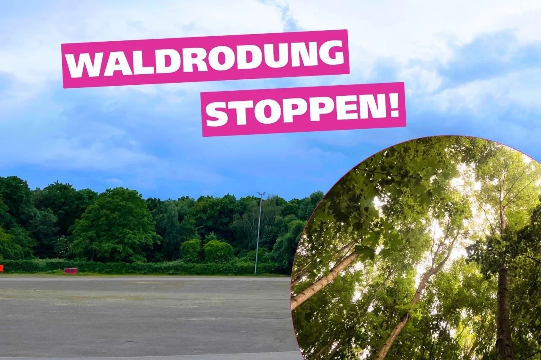 Demo-Aufruf "Waldrodung stoppen!" Grafik: Ökolöwe
