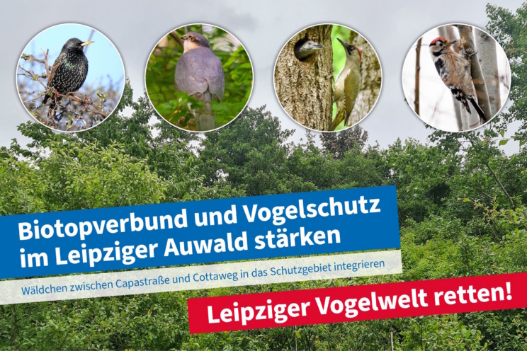 Titelbild der Petition zur Rettung des Capa-Wäldchens. Grafik: NABU Leipzig
