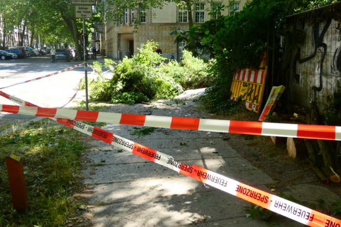 Donnerstag, der 11. Juni 2026: Umgestürzter Baum b