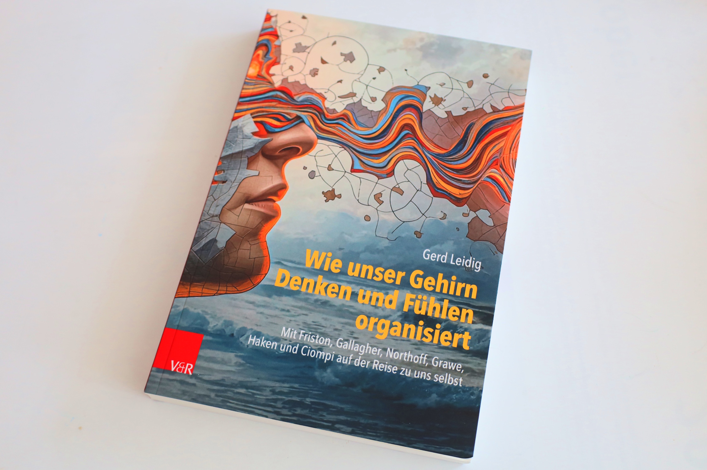 Wie-unser-Gehirn-Denken-und-F-hlen-organisiert-Eine-spannende-Reise-durch-die-Welt-unseres-Ich
