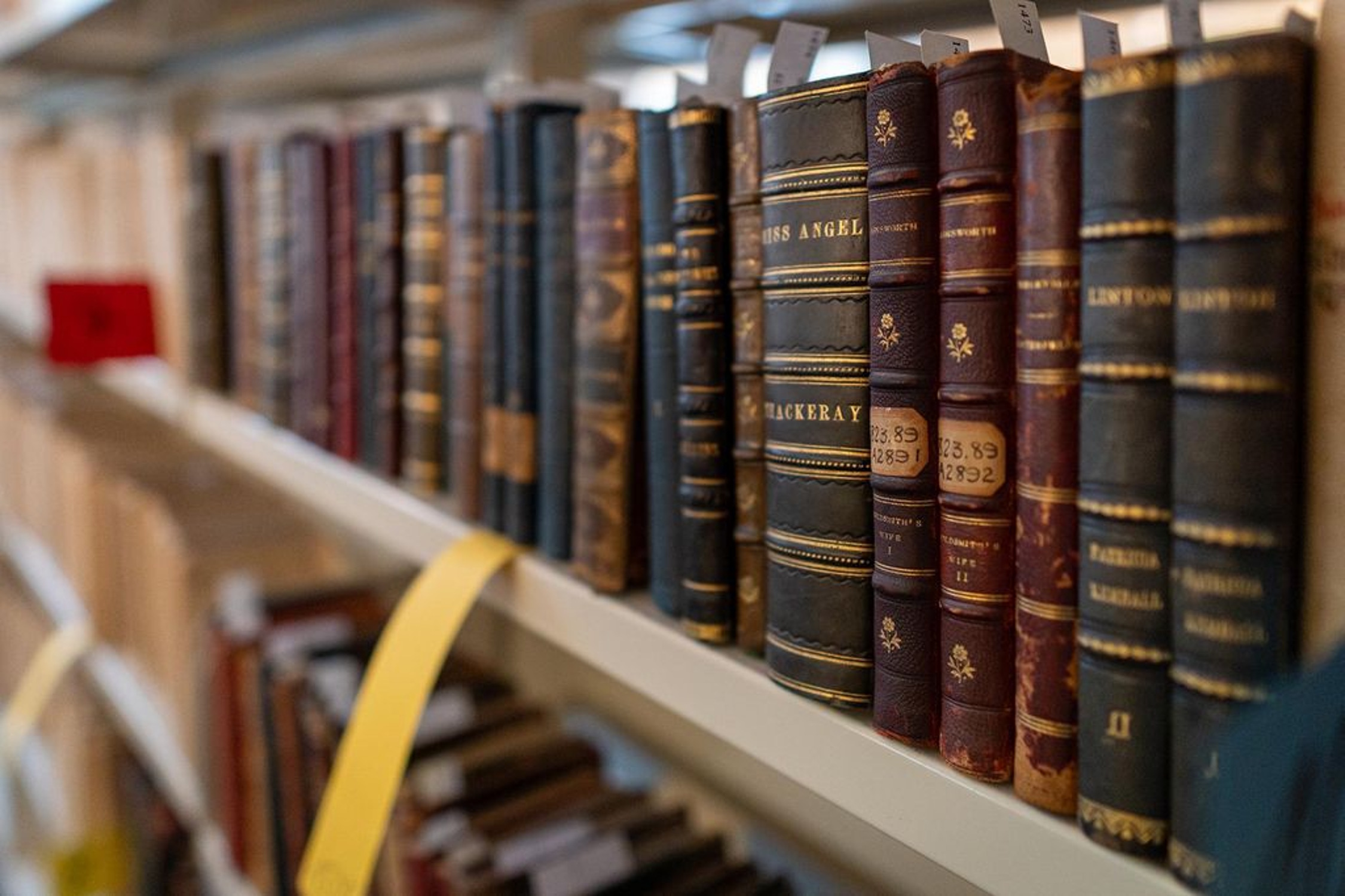 Seltene gebundene Bände der Tauchnitz-Bibliothek. Foto: Thomas Kademann