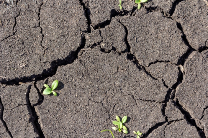 Forschende der Universität Leipzig sind in einer neuen Studie der Ursache der überdurchschnittlich starken sommerlichen Austrocknung der Böden und der steigenden Temperaturen in Europa auf den Grund gegangen. Foto: Colourbox