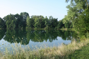 Am Naturbad Nordost in Thekla. Foto: Ralf Julke