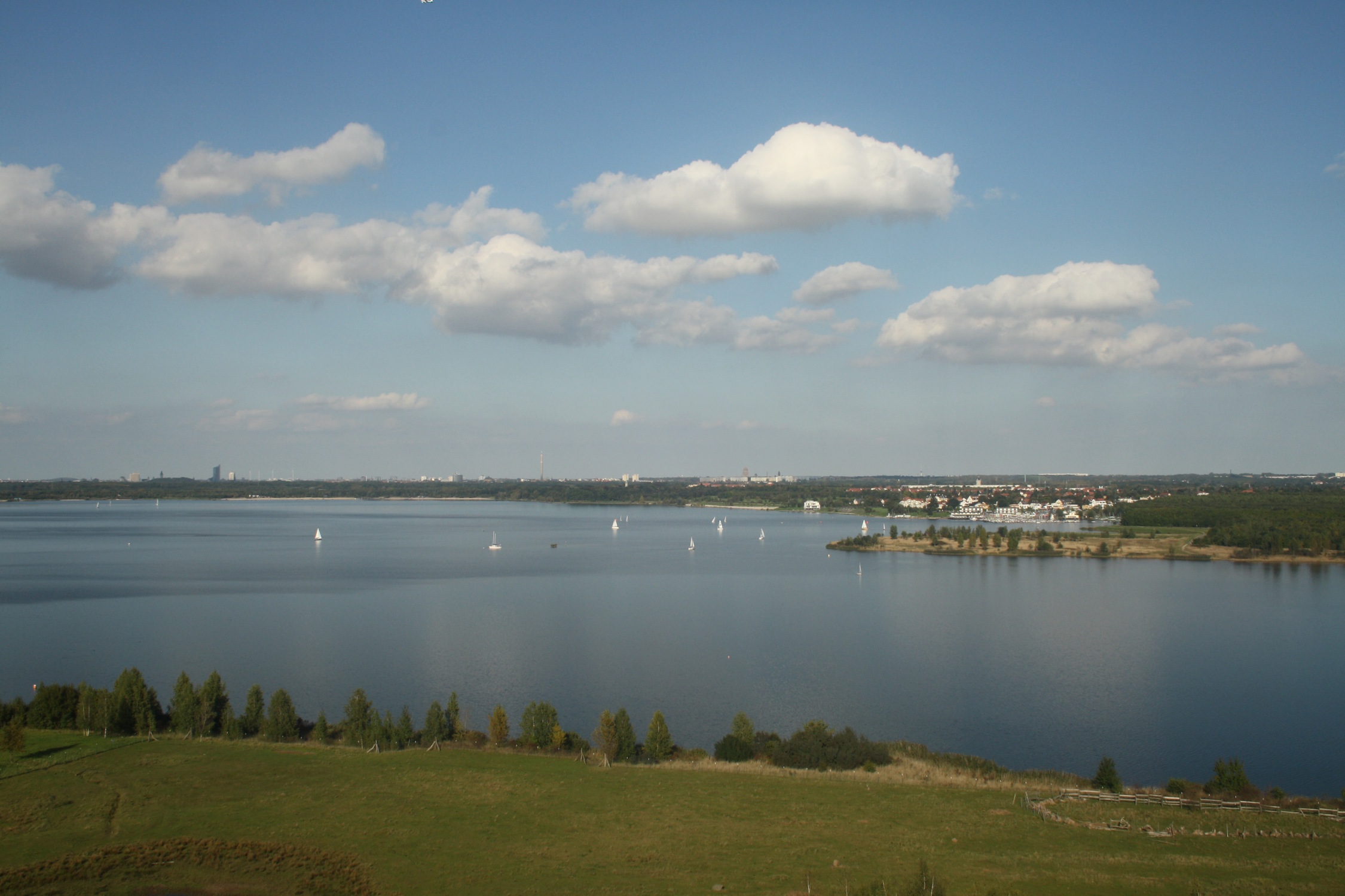 Die eigentlich streng geschütze Südspitze des Cospudener Sees. Foto: Ralf Julke