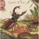 Exponat in der Ausstellung "Insektenwissen". Foto: Universitätsbibliothek Leipzig