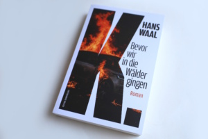 Hans Waal: Bevor wir in die Wälder gingen. Foto: Ralf Julke