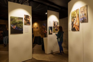 Blick in die Ausstellung "Drinnen im Draußen". Foto: Birte Lampart