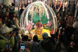 „The Enchanted Flower Globe“- Pressefoto