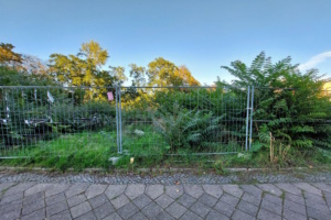 Grün hinter Gittern auf dem Wilhelm-Leuschner-Platz. Archivfoto: Sabine Eicker