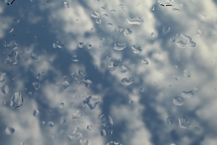 Endlich wieder Regen ... Foto: Ralf Julke