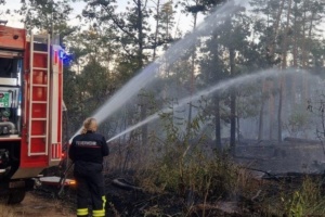Eine Feuerwehrfrau bekämpft Glutnester im Wald. Das Bild entstand 2025 beim Einsatz in der Gohrischheide. Foto: LK Leipzig