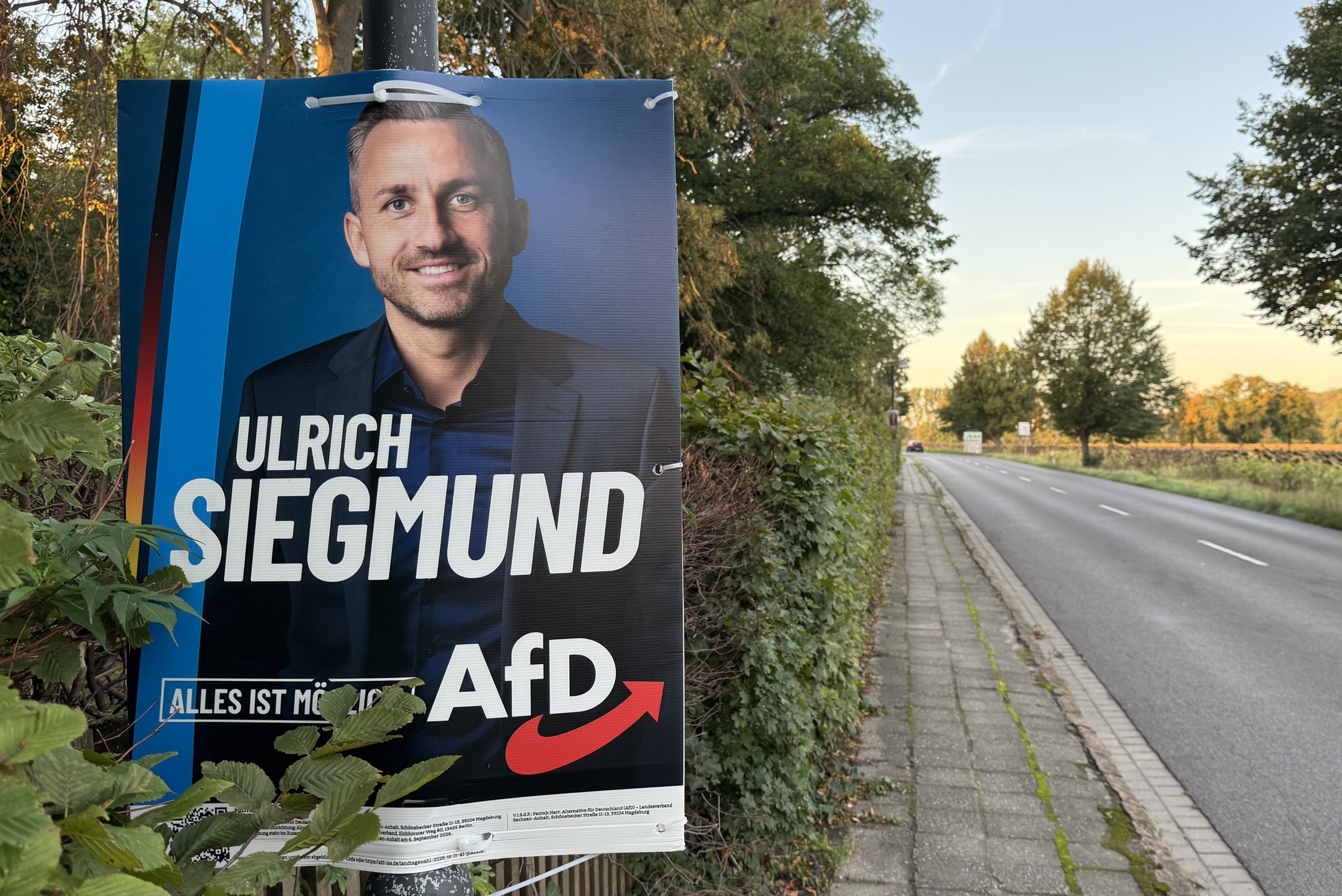 AfD-Wahlplakat mit Ulrich Siegmund bei Profen/Elsteraue. Foto: Frank Beutner