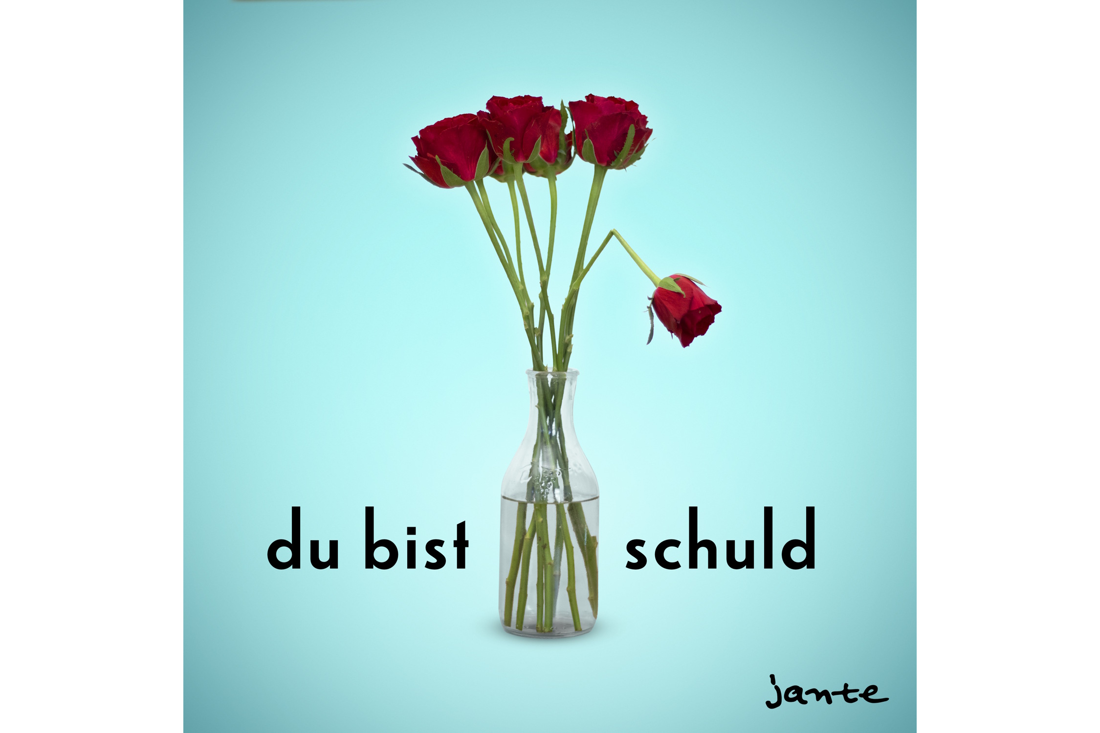 Du bist schuld. Cover: Jante