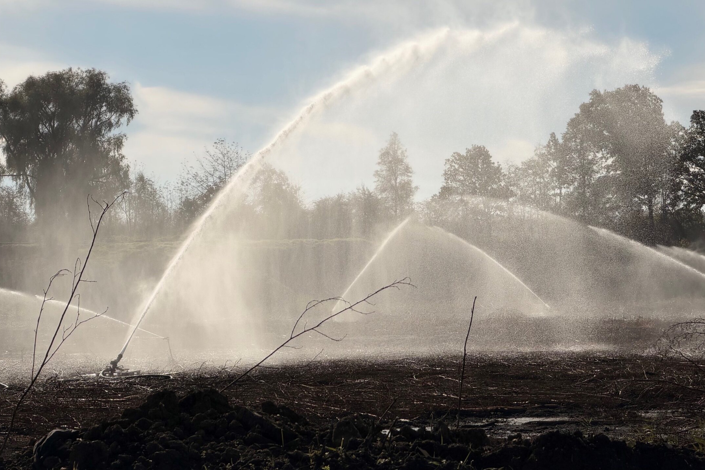 Durch die bessere Wasserzufuhr kann mehr Wasser zum Löschen genutzt werden. Foto: LMBV
