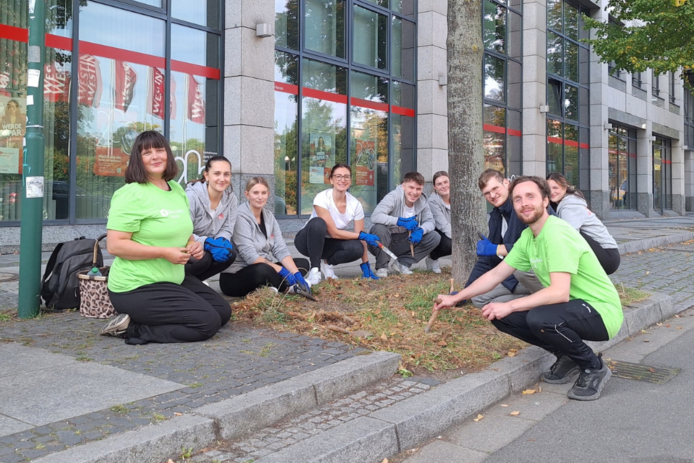 Pflanzaktion des Ökolöwen in der Humboldtstraße. Foto: Ökolöwe