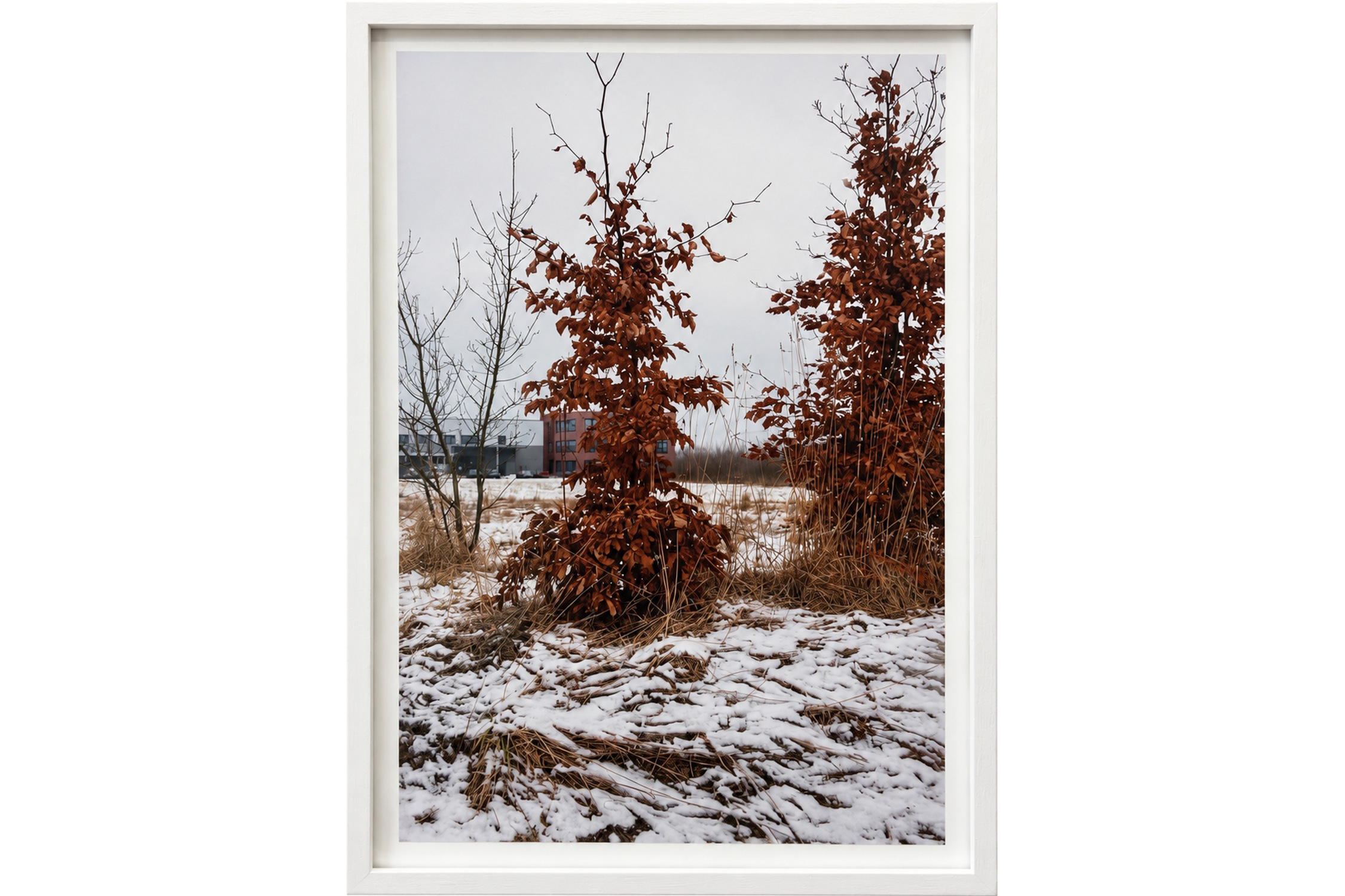 Timo Hinze, Autobahnwanderungen, Inkjet Print, 2026