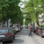 Baumallee in Schleußig: die Holbeinstraße. Foto: Ralf Julke