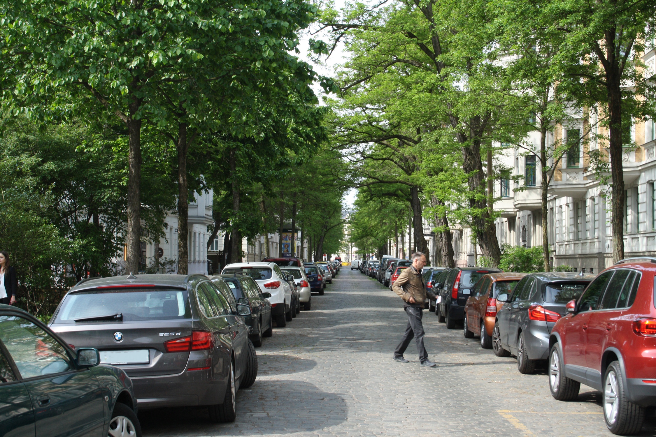 Baumallee in Schleußig: die Holbeinstraße. Foto: Ralf Julke