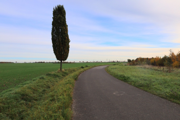 Blick über die Felder nördlich des Schladitzer Sees Richtung Lemsel. Foto: Ralf Julke