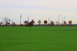 Windkraftanlagen auf den Feldern bei Rackwitz. Foto: Ralf Julke