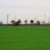 Windkraftanlagen auf den Feldern bei Rackwitz. Foto: Ralf Julke