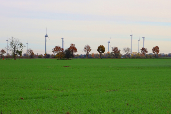 Windkraftanlagen auf den Feldern bei Rackwitz. Foto: Ralf Julke