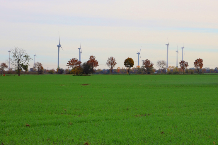 Windkraftanlagen auf den Feldern bei Rackwitz. Foto: Ralf Julke