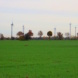 Windkraftanlagen auf den Feldern bei Rackwitz. Foto: Ralf Julke