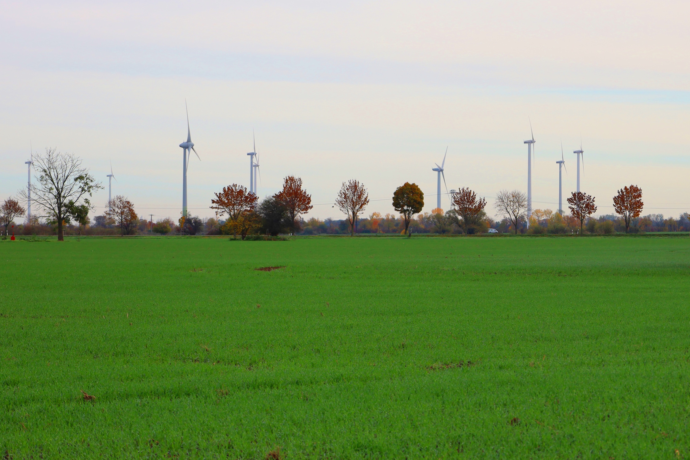 Windkraftanlagen auf den Feldern bei Rackwitz. Foto: Ralf Julke